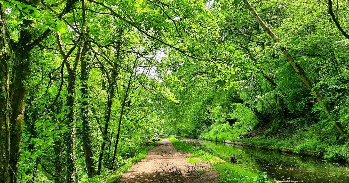 Monmouthshire & Brecon Canal @nestingtendencies